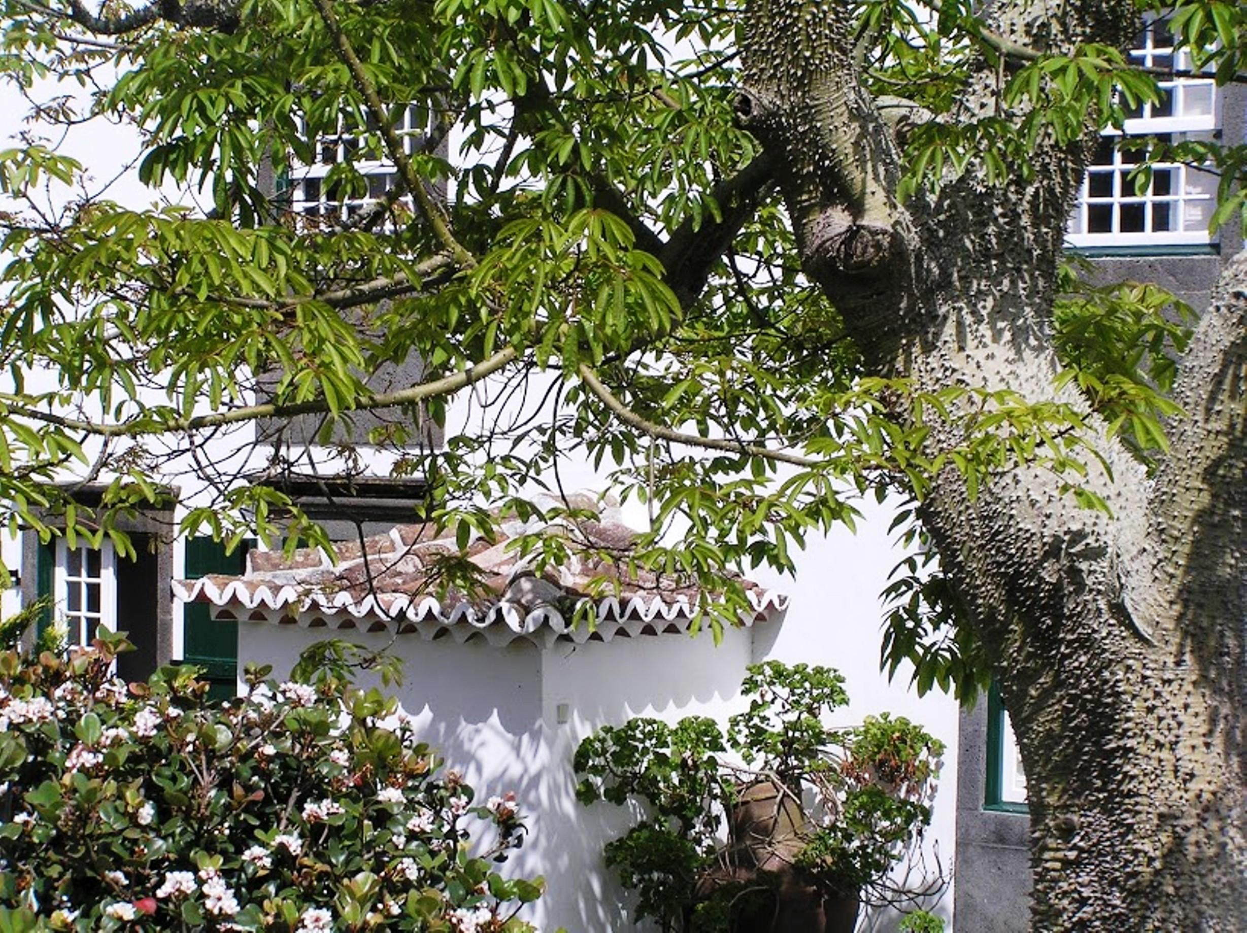Casa Das Calhetas - Turismo De Habitacao Εξωτερικό φωτογραφία